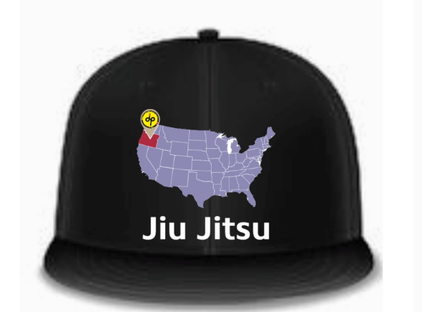 Fly Dad Hat